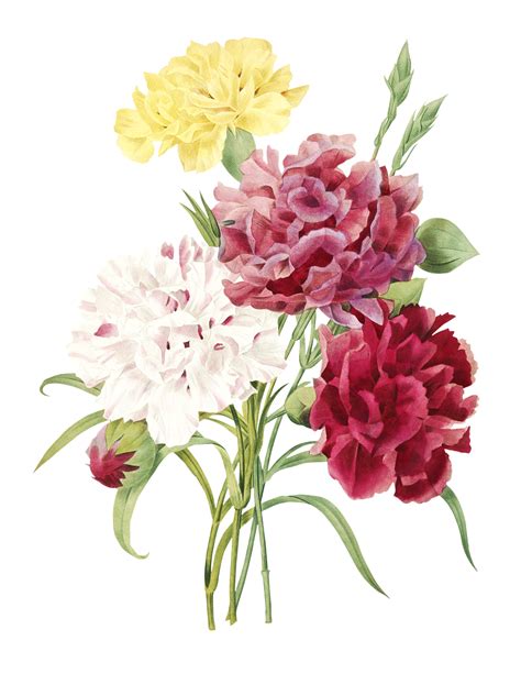 Bouquet Of Vintage Art Painted Flowers Free Stock Photo Public Domain