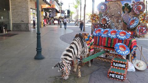 Violence Scaring Off American Tourists In Tijuana