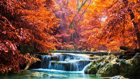 Landscape View Of Colorful Autumn Leafed Trees And