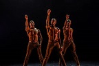 As dancers struggle during the pandemic, Deeply Rooted Dance Theater ...