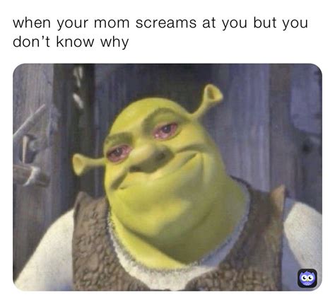 When Your Mom Screams At You But You Dont Know Why Maykolmakesmemes