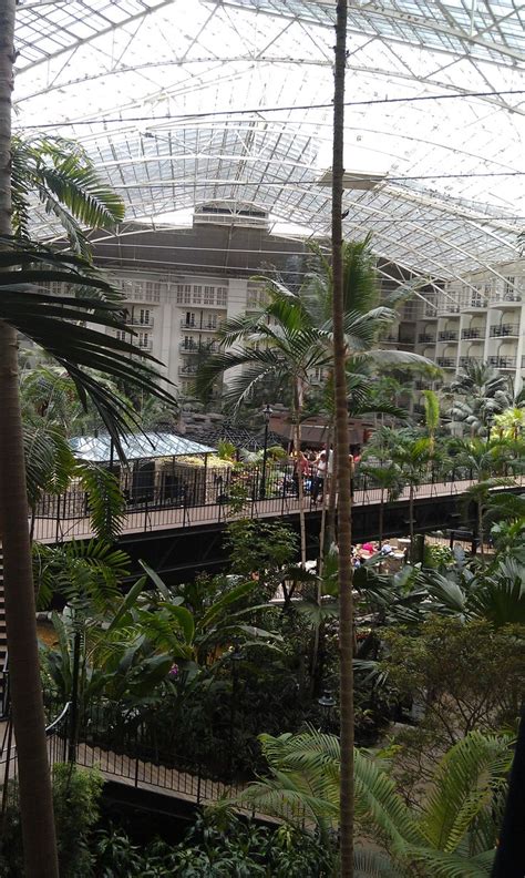 Read reviews, view photos, see special offers, and contact metro floral wholesale directly on the knot. Opryland Hotel Nashville, Tn (With images) | Opryland ...