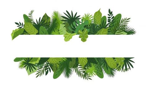 .decoraciones de hojas verdes y descubre más de 12 millones de recursos gráficos en freepik. Tropical Leafs Concept Frame, Cartoon Style | Hojas ...