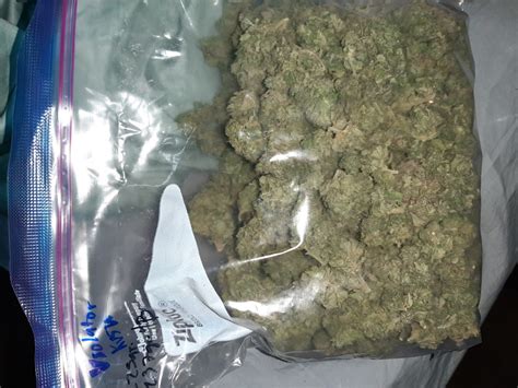 2198 four winds blvd, kissimmee, fl 34746, united states. BerlinWeed.Net - Kaufen Sie das beste Marihuana in ...