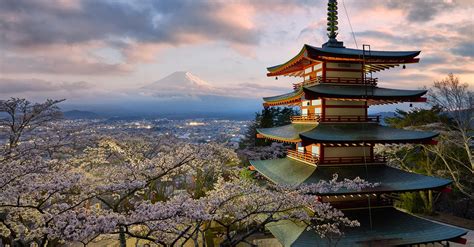 Japan Photo Tour Spring 2016 Dream Photo Tours