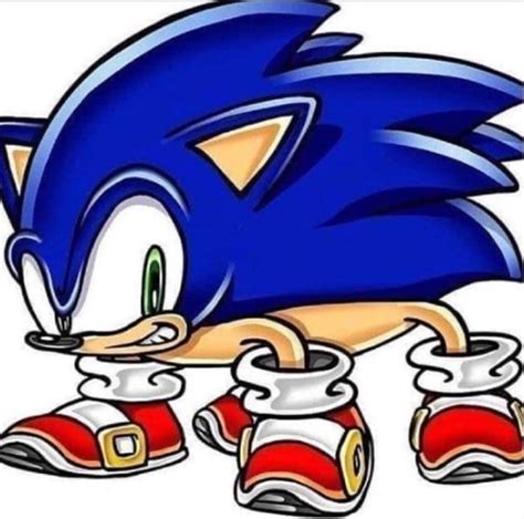 Sonic The Real Hedgehog The Accurate Hog 9gag