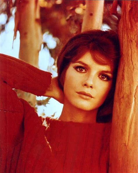 Katharine Ross Katherine Ross American Actress Classic Actresses