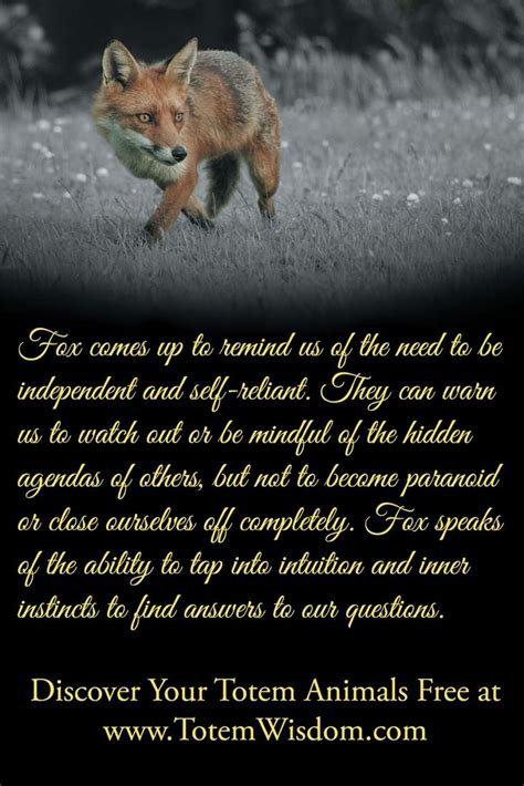 Fox Spirit Animal Meaning Fox Animal Symbolism Totem