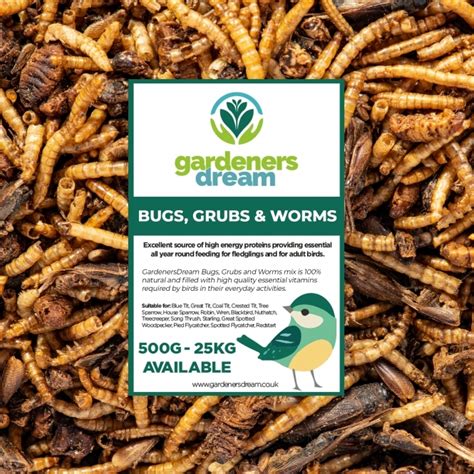 Bugs Grubs And Worms Wild Bird Food Free Uk Delivery