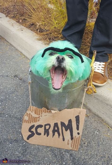 Oscar The Grouch Halloween Costume Contest At Costume Dog