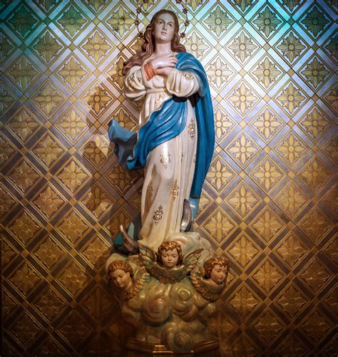 Immaculate Conception Mass — Our Lady Of Grace Catholic Church