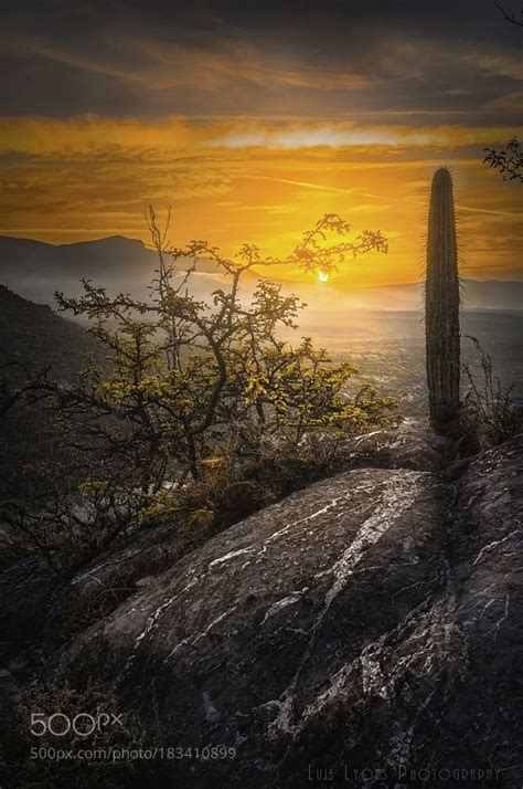 Desert Sunrise By Luislyons Landscapes Landscapephotography Nature