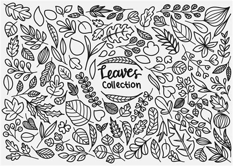 Leaves Doodle Collection 1235321 Vector Art At Vecteezy