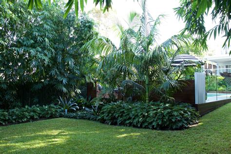 Jungle Garden — Impressions Landscape Design