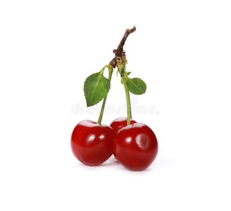 Cluster Of Juicy Red Cherries Isolated On A White Background Stock