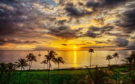 Nature Landscape Island Sunset Beach Palm Trees Sea Sky Grass Shrubs Clouds Maui