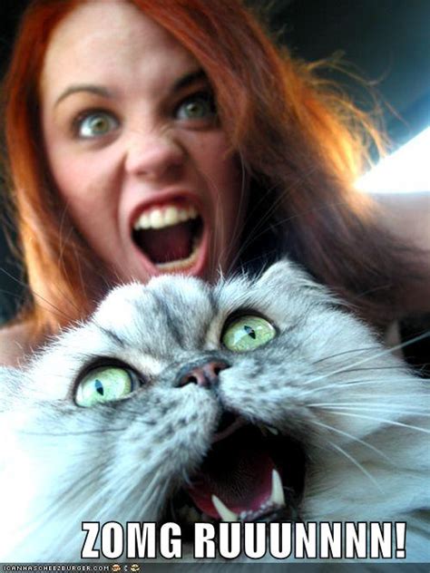 Kylie Griffins Blog Cat Urday Funnies