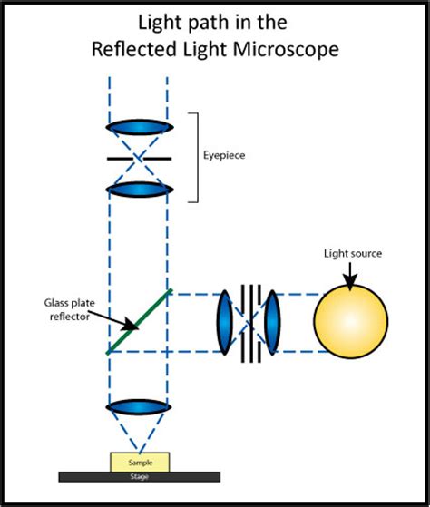 Microscope Light Path Micropedia