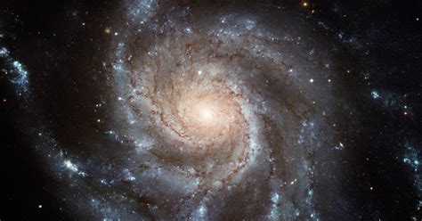 Solving An Old Mystery Why Are Spiral Galaxies So Rare In Our Cosmic