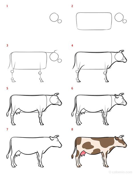 Cow Drawing Ideas How To Draw A Cow Step By Step
