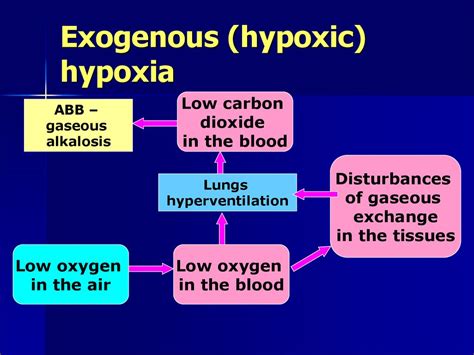 Hypoxia Subject 7 презентация онлайн