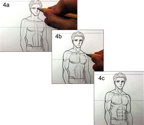 Detail Sketsa Anatomi Tubuh Manusia Koleksi Nomer 40