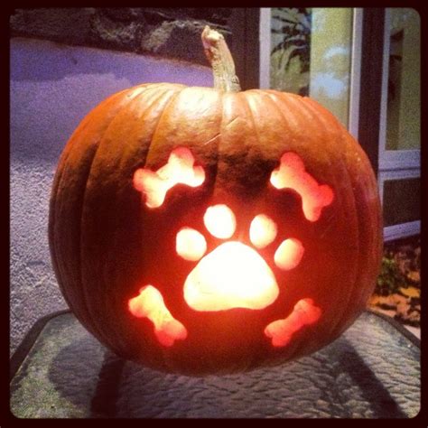 Dog Jack O Lantern For Halloween Easy Pumpkin Carving