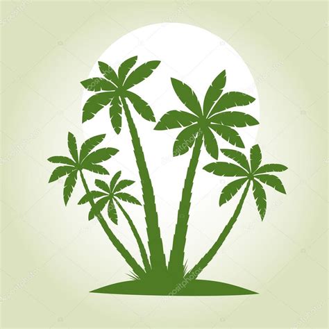 Ilustración vectorial de una palmera tropical con hojas verdes — Vector