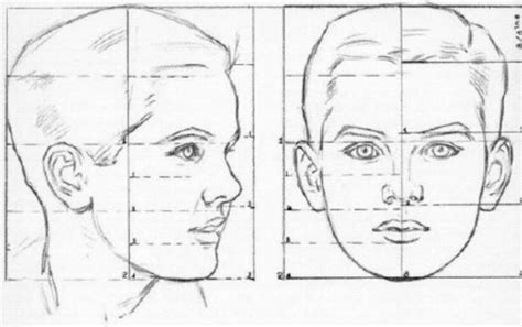 A Drawing Of The Head And Face Of A Man With Different Facial