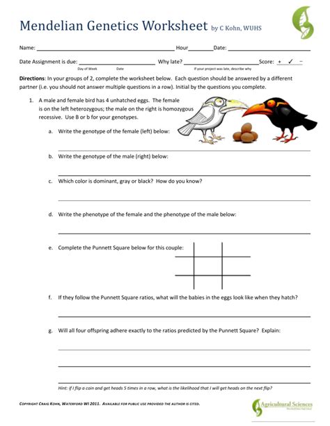 Yes no was this document useful for you? Nonmendelian Genetics Problems Worksheet Pdf / Non ...