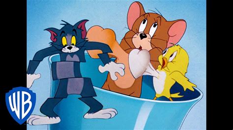 Tom Et Jerry En Français Voilà Les Oiseaux Wb Kids Youtube