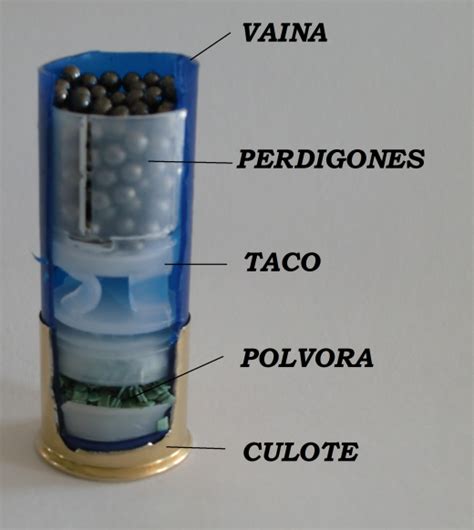 Partes De Una Bala Y Cartucho