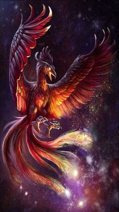 Dragon Phoenix Wallpapers Top Free Dragon Phoenix Backgrounds