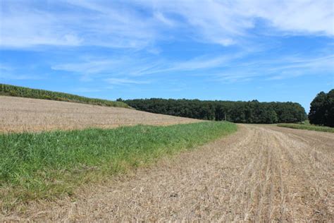 16 Acres Of Tillablewooded Land In Stillwater Pa The Land