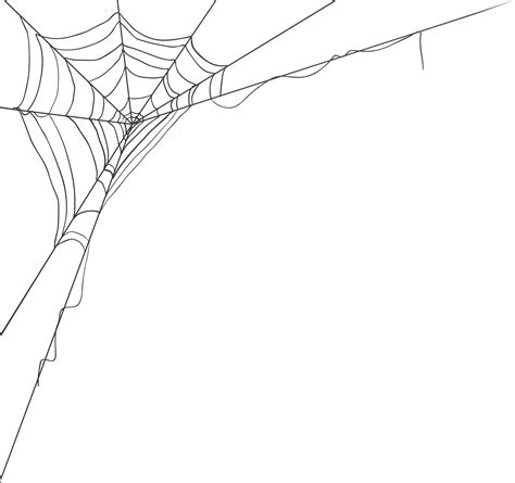 Realistic Spider Web Png