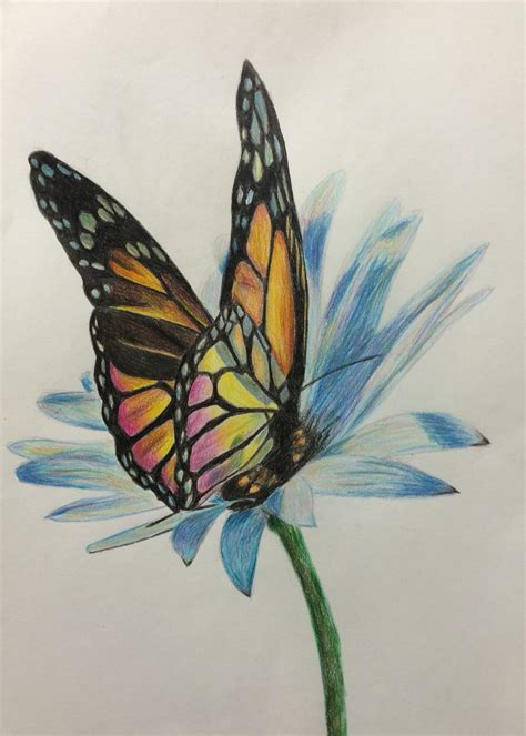 Butterfly and flower - Color pencils - Andrea Meyerholz ... 3,000+ vectors, stock photos & psd files.