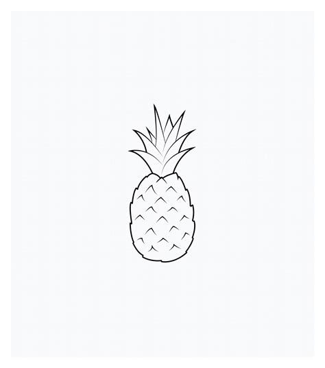 Easy Pineapple Drawing At Getdrawings Free Download