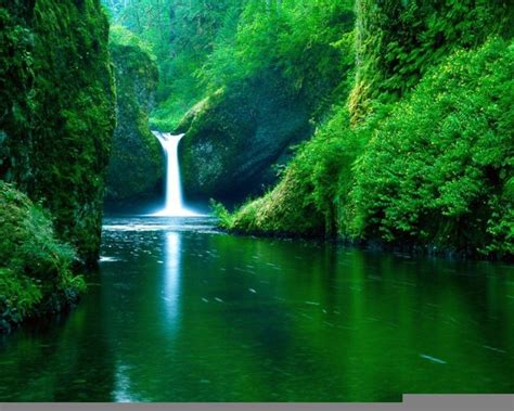 See more ideas about nature pictures, nature, pictures. Free Nature Backgrounds Pictures - Wallpaper Cave
