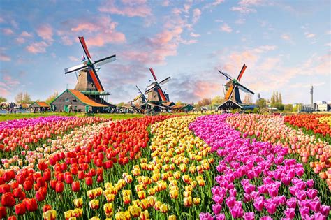 the netherlands is officially dropping its holland nickname tatler hong kong