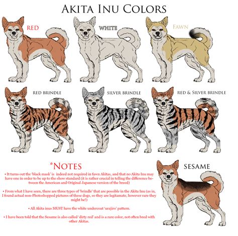 Akita Inu Reference Colors Akita Inu Puppy Akita Dog Japanese Akita