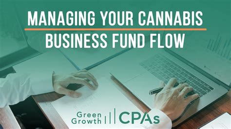 Managing Your Cannabis Business Fund Flow Cannabis Cfo Youtube