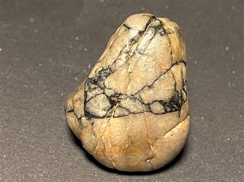 Anorthosite Troctolite Granulated Breccia Meteorite Lunar Meteorite