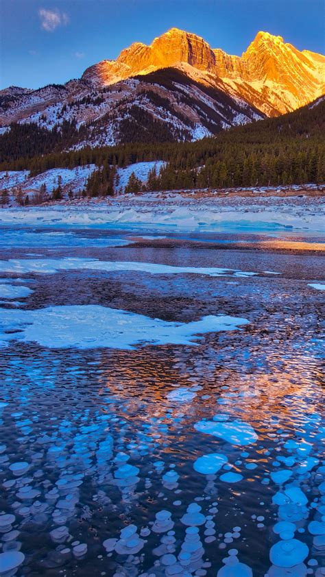 Methane Bubbles Under Frozen Abraham Lake Alberta Canada