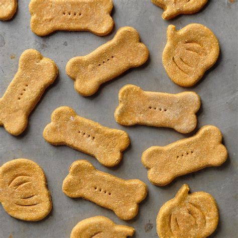 Are Ginger Cookies Safe For Dogs