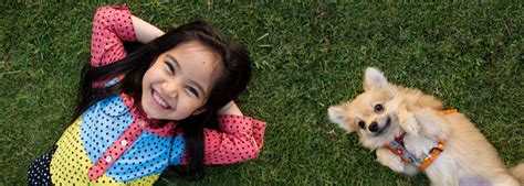 If your dog has lymphoma but has not responded to any treatment, or if they seem like they're in intense pain each day, you might consider putting them down. Vincristine Cytoxan Treatments for Canine Lymphoma Care