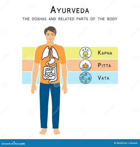 Ayurveda Vector Illustration Ayurveda Doshas In Watercolor Texture