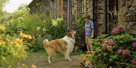 Lassie 2 Ein Neues Abenteuer Dvd Blu Ray Oder Vod Leihen Videobuster