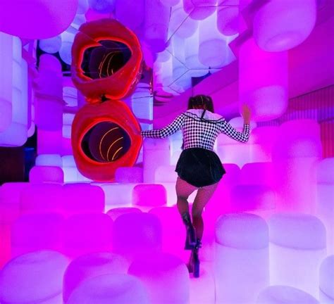The Museum Of Sexs New Carnival ‘funland Is An Interactive Indoor Adventure Laptrinhx News