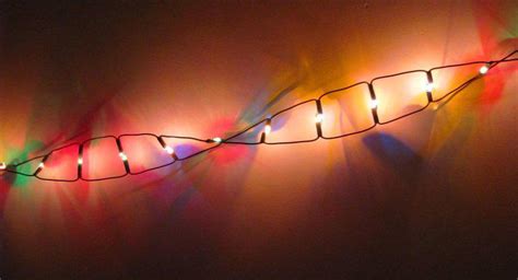 A menudo asisto a diferentes talleres y cursos de formación y, en general, tengo muchísimo interés por aprender lenguas extranjeras. Qual è lo scopo della PCR?