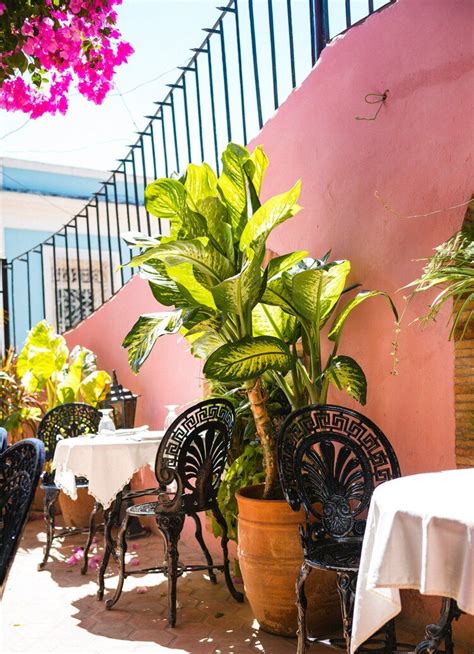 Best Nightlife In Havana Havana Clubs Bars Restaurants Galleries Artofit